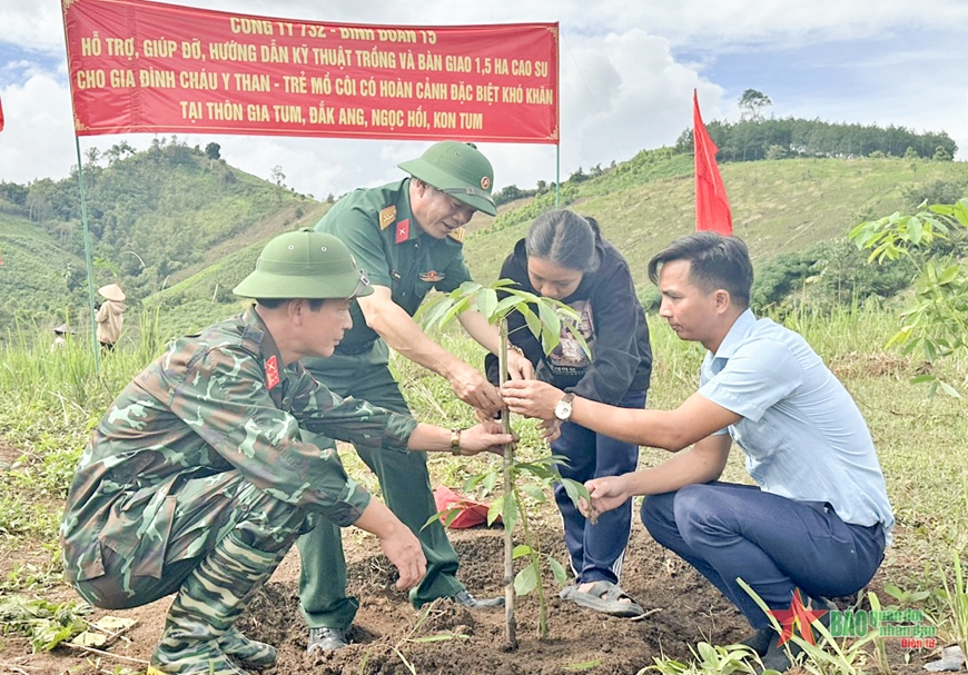 Công ty 732: Hỗ trợ trồng 610 cây cao su, tạo sinh kế bền vững cho trẻ em mồ côi